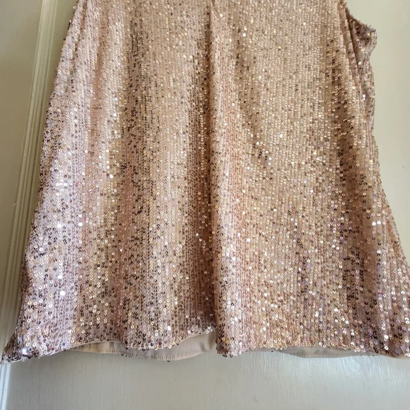 CLEARANCE LOFT Sequin Sleeveless Top - Rose Gold - Picture 8 of 13